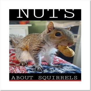 NUTS ABOUT SQUIRRELS Posters and Art